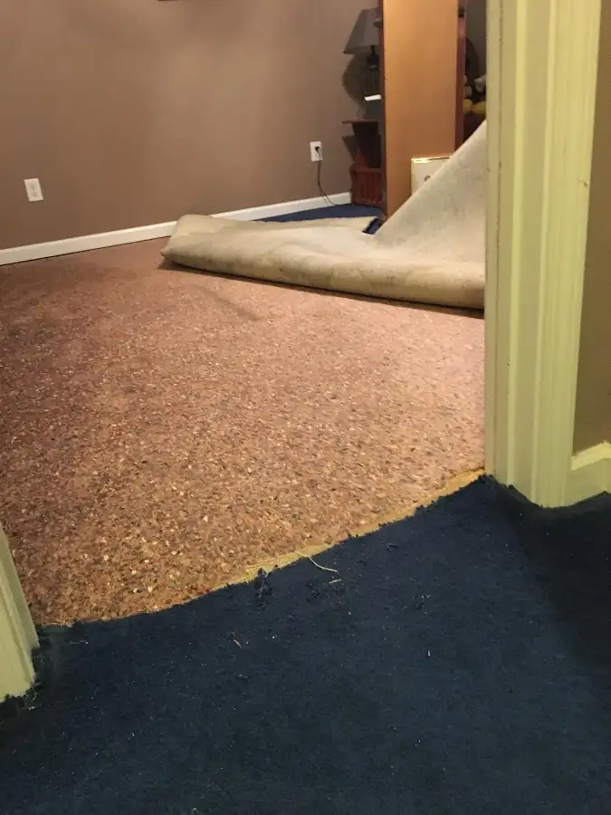 Carpet pad removal revealing water damage during Water Mitigation Services in Milan